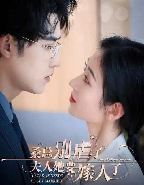 乔家的儿女